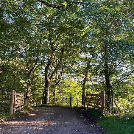Spacious Cottage - Walk To Crieff Extérieur photo