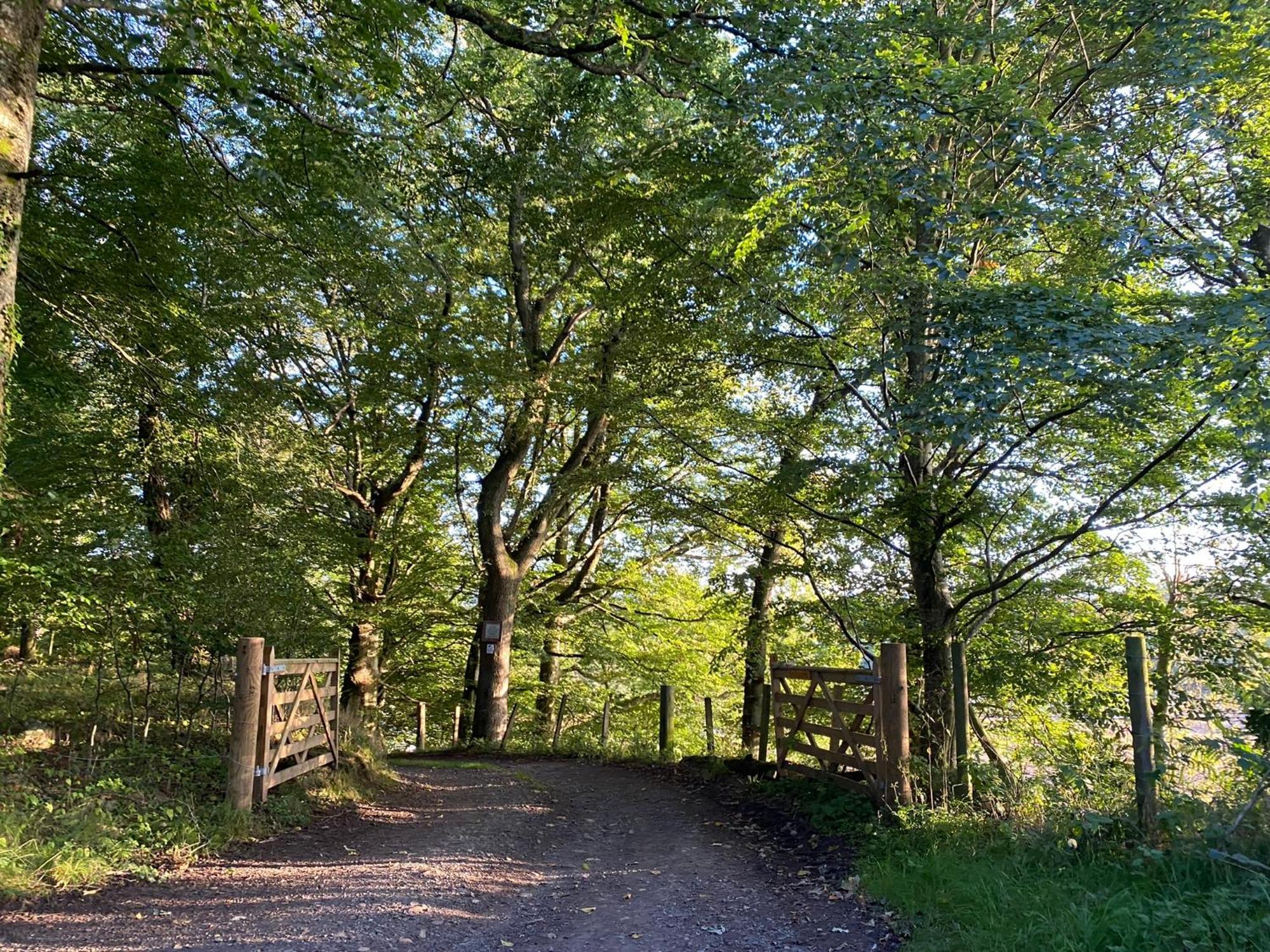 Spacious Cottage - Walk To Crieff Extérieur photo