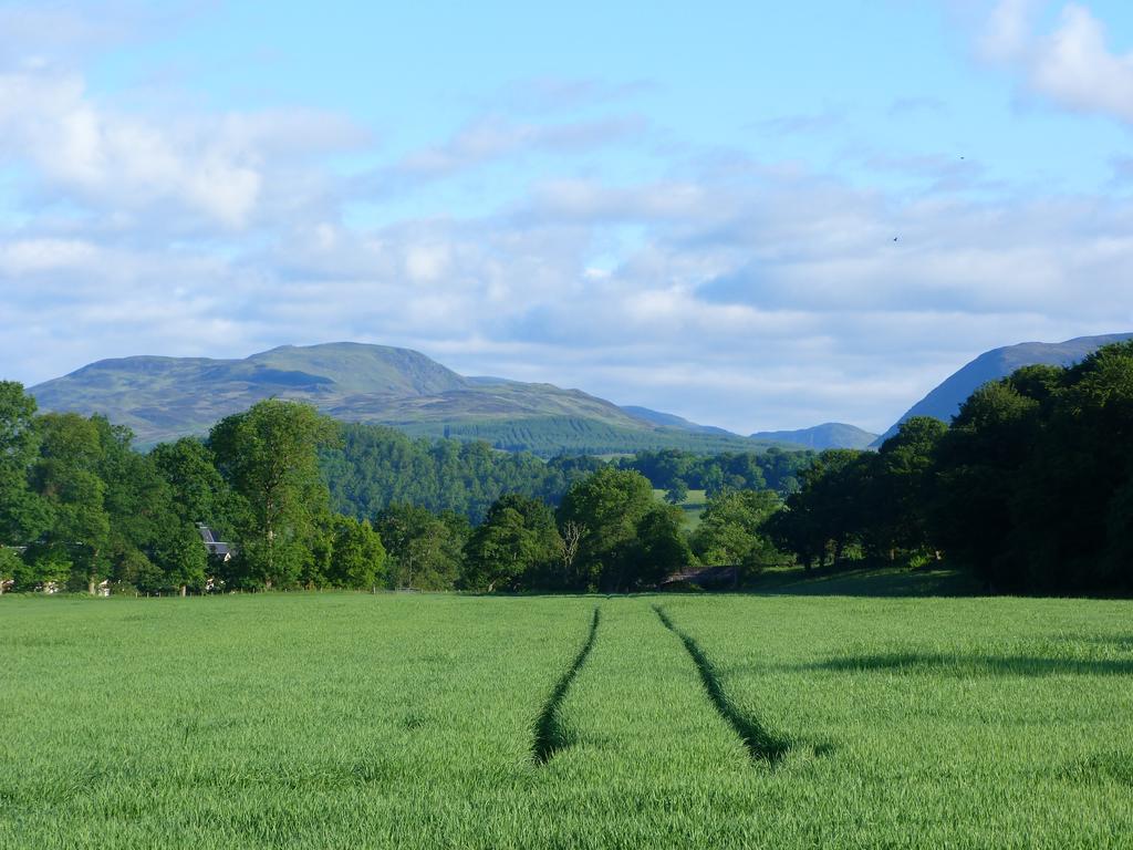 Spacious Cottage - Walk To Crieff Extérieur photo
